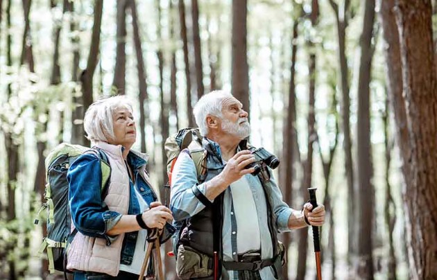 The Most Important Ages of Retirement